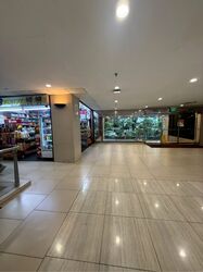 Lucky Plaza (D9), Shop House #568653281